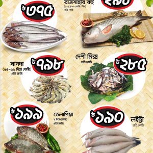 FISH ILASA NO 1 BHARAT