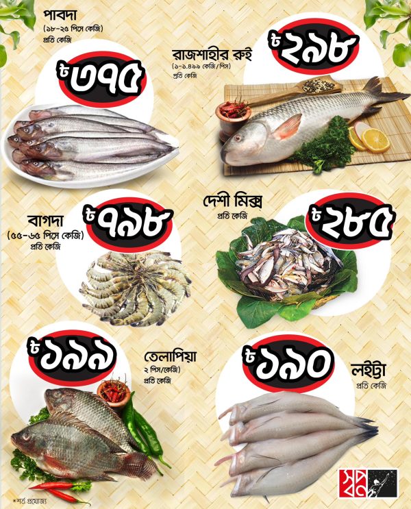 FISH ILASA NO 1 BHARAT